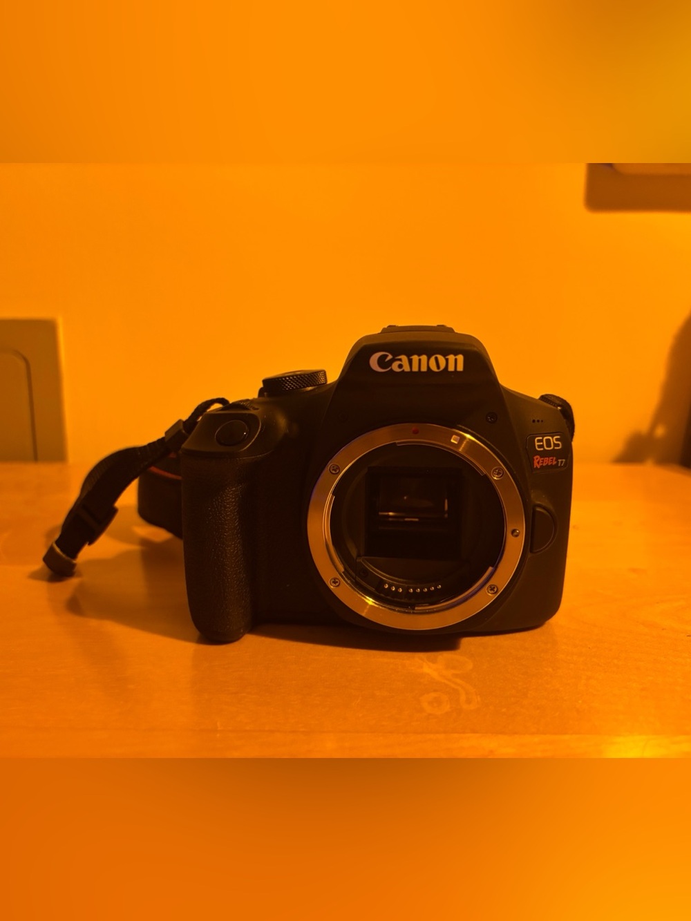 Canon EOS Rebel T7 DSLR Camera with 18-55mm Lens with Charger (Black)
